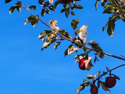 Herbstimpressionen