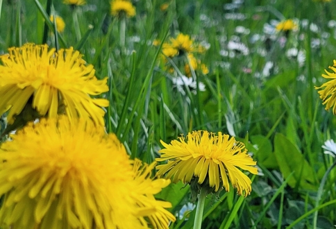 photo_2025-09-05_16-08-19