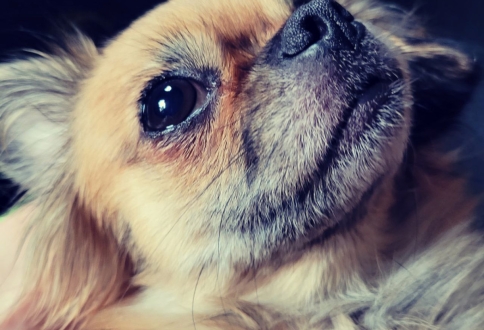 photo_2025-09-05_16-09-05