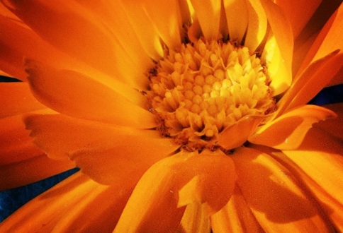 photo_2025-09-05_16-09-35