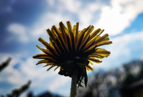 photo_2025-09-05_16-10-08