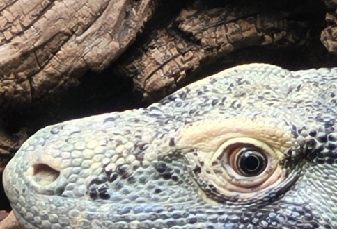 photo_2025-09-05_16-22-36