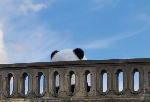 photo_2025-09-05_16-27-17